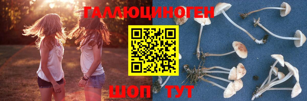 Галлюциногенные грибы Cubensis  Галлюциногенные грибы Psilocybe  Вход с VPN  Рыбинск 